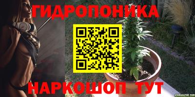 МДПВ Можга