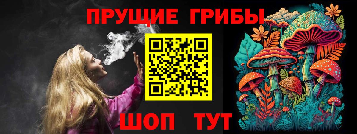 Галлюциногенные грибы GOLDEN TEACHER Соль-Илецк